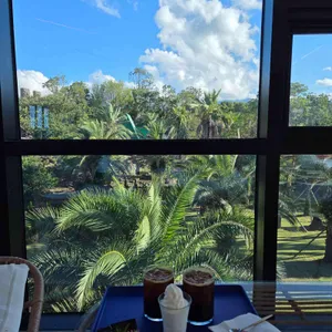 Pickus 리뷰 사진