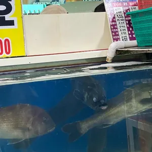 격포어촌계직판장A동19호 사진