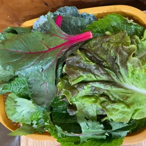 다채우렁돌솥쌈밥 사진