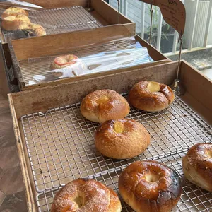 릴리브라운 사진