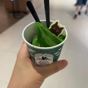 교토퍼펙트말차 사진