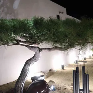 일상차반사 리뷰 사진