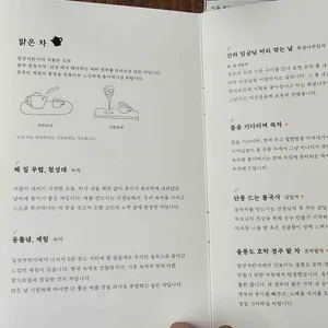 일상차반사 리뷰 사진