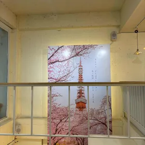 카쿠레가 리뷰 사진