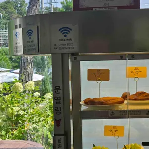 배다골베이커리하우스 리뷰 사진