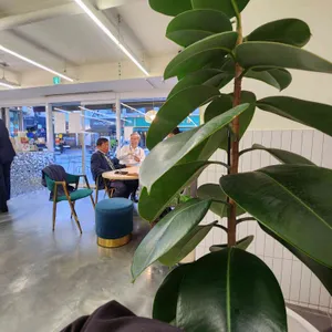 에슬로우 리뷰 사진