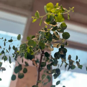 감자적1번지 리뷰 사진