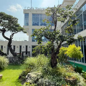 카페 너른 사진 1