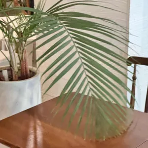 온더모먼트 리뷰 사진