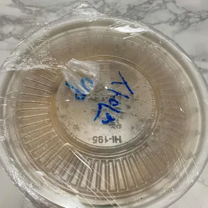 통통돈까스 대표 사진