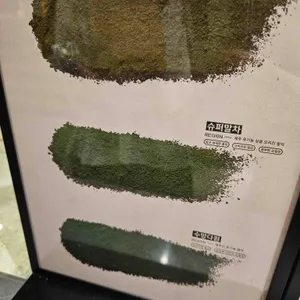 스테레오스코프 리뷰 사진