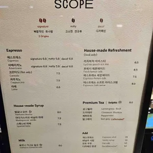 스테레오스코프 리뷰 사진
