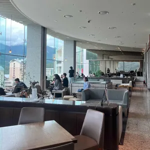 소노펠리체 델피노 더엠브로시아 리뷰 사진