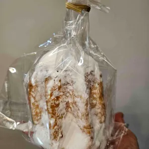 어니언 사진