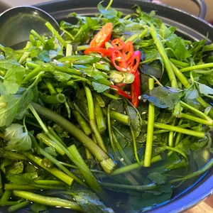 해탄 사진
