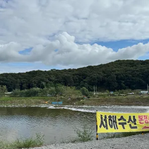 서해수산 리뷰 사진