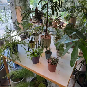 디앤디파트먼트 리뷰 사진