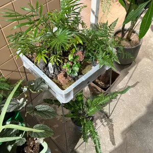 디앤디파트먼트 리뷰 사진