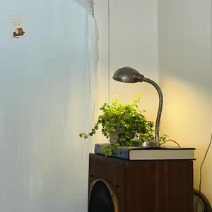 카린 리뷰 사진