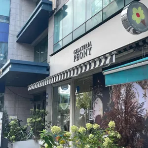 젤라떼리아 피오니 사진 1