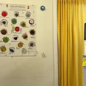 젤라떼리아 피오니 리뷰 사진