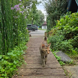 미즈노씨네 트리하우스 리뷰 사진