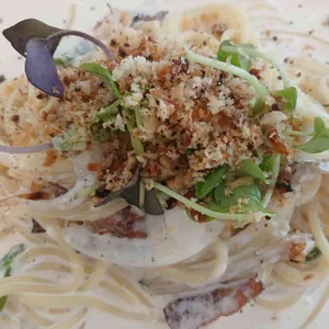 소테 사진