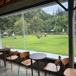 666도그플레이 리뷰 사진