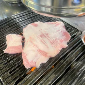 금돼지 사진 1