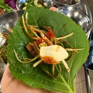 피그돈 대표 사진