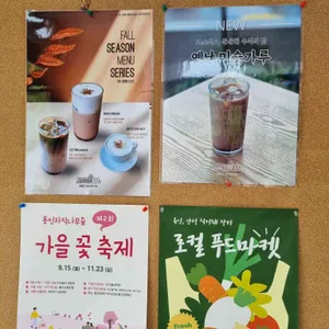 베툴라 리뷰 사진