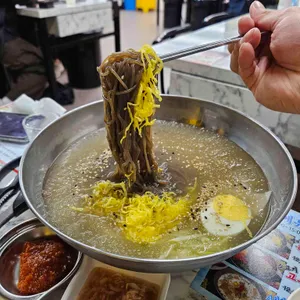 양은이네 사진