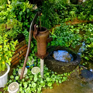 1894사랑채 리뷰 사진