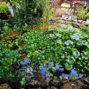 1894사랑채 리뷰 사진