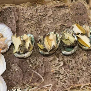 찜하다 리뷰 사진