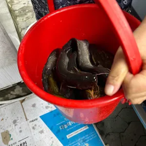 남한강다슬기해장국 리뷰 사진