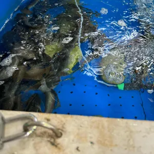 남한강다슬기해장국 사진