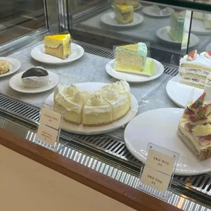 로맨틱스탠다드 리뷰 사진