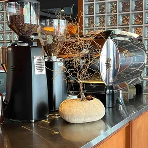 궁금정원 리뷰 사진