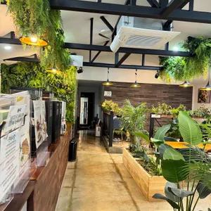 아리베데르치 리뷰 사진