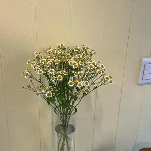 보키베이크 리뷰 사진