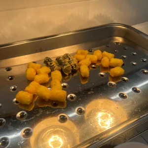 무한육채미 사진