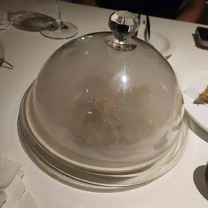 아웃트로바이비토 사진