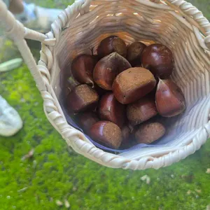 보광산관광농원 대표 사진