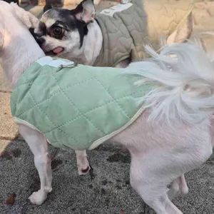 보광산관광농원 리뷰 사진