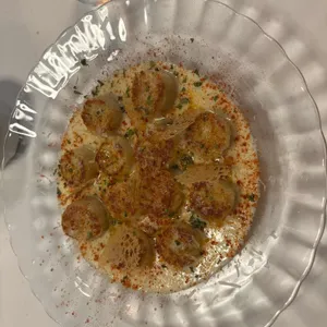 수비토 subito 사진