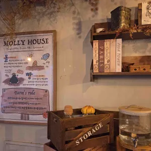 몰리하우스 리뷰 사진