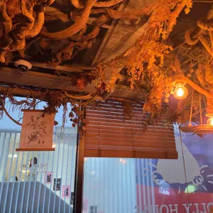 몰리하우스 리뷰 사진