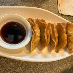 거북이의꿈 사진