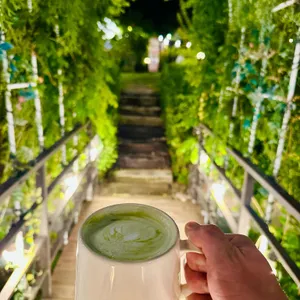 인플럭스 리뷰 사진